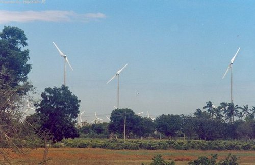 Rows of turbines across the plain at the Muppandal wind farm, Tamil Nadu, seen beyond trees