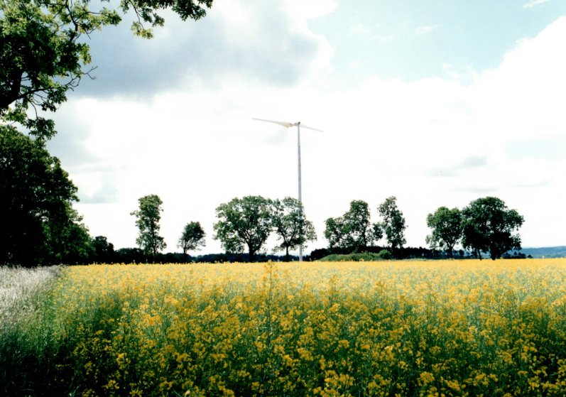 A Carter turbine standing beyond a field of yellow oilseed rape and trees at the Faccombe Estate, Hampshire